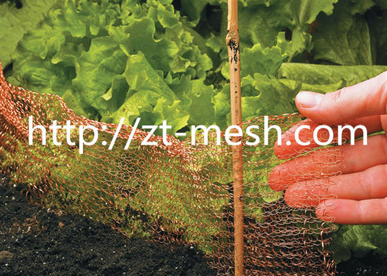 شبكة سلك ملحومة مجلفن مع جرح حلزوني سطحي من النوع المسطح أو الجرح أو الحرفة المضغوطة