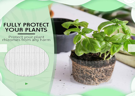 حياكة النحاس الجذر الحرس غوفر قطر 0.12 مم