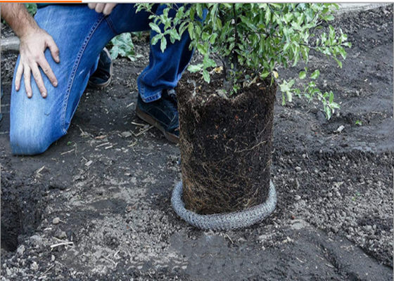 Aisi 304 شبكة سلكية محبوكة لفصل الماء عن الزيت